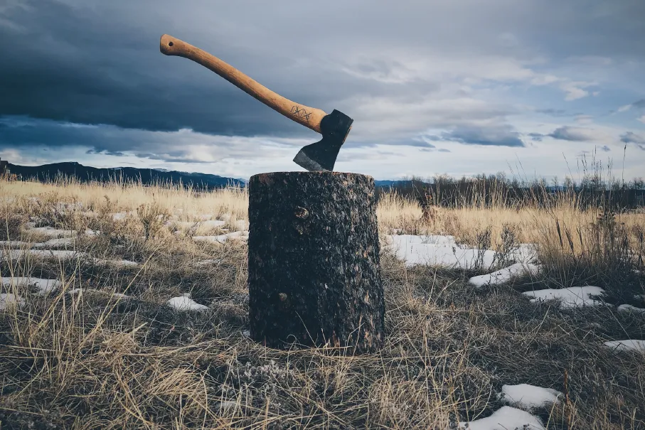brown handled axe on log